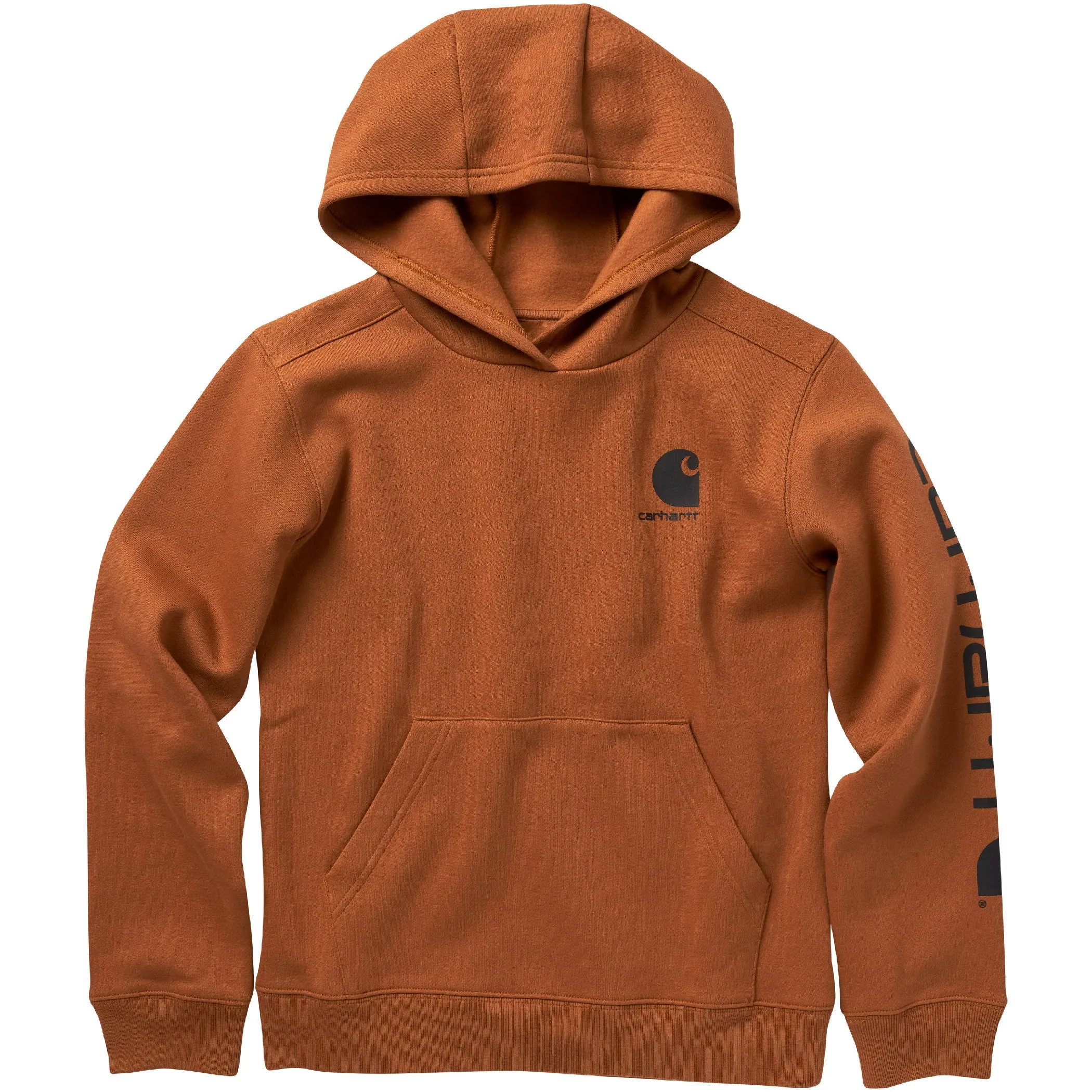 Carhartt Boys' Long Sleeve Graphic Sweatshirt